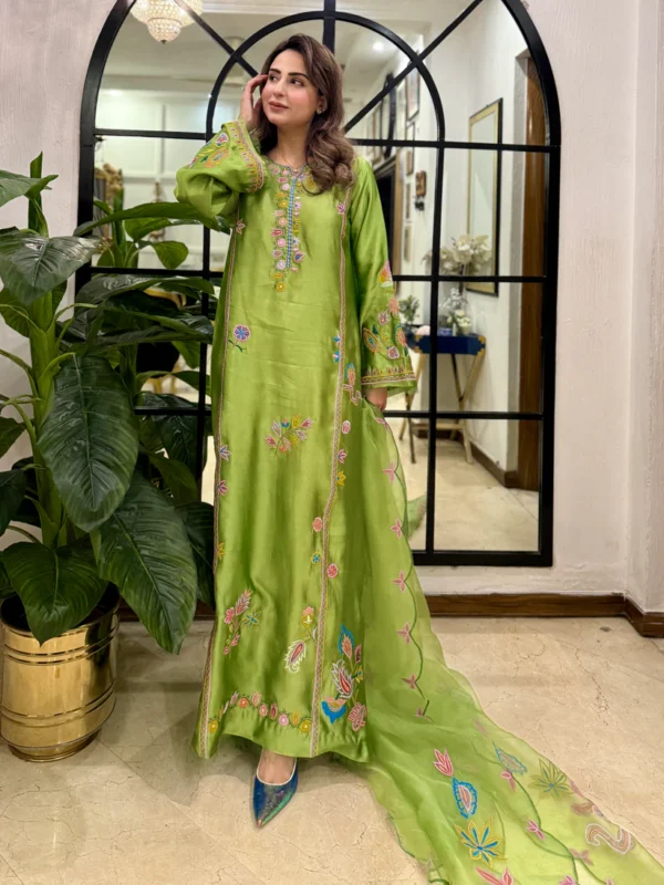 Raya Organza Embroidered Dupata